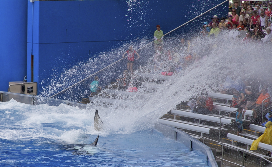 Splash ! les dangers de la wet zone ...