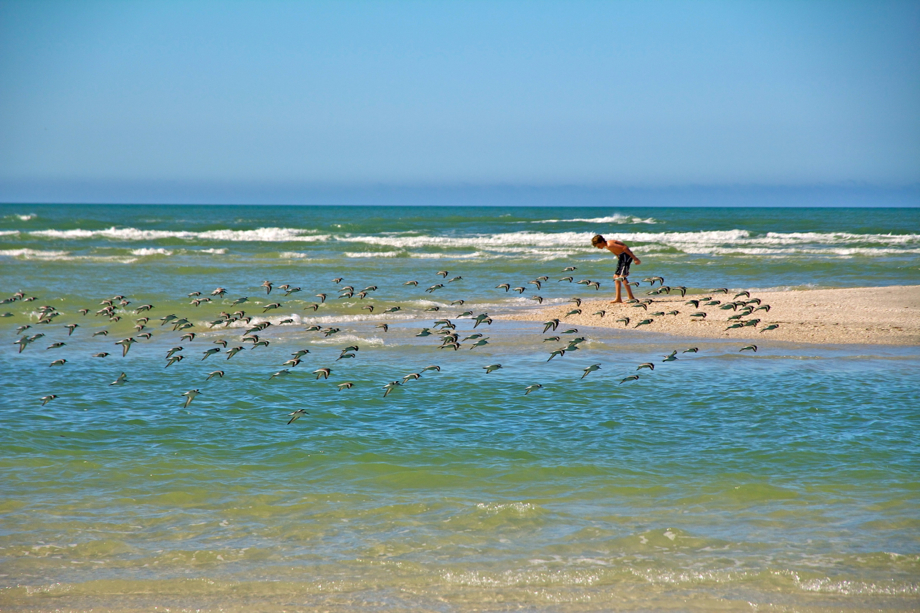 Le sable blanc de Siesta Key