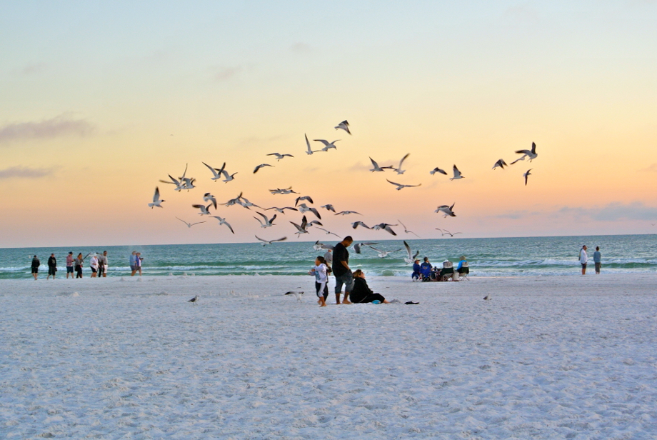 Le sable blanc de Siesta Key