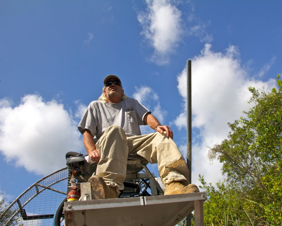 “Pa-hey-okee” , le fleuve d’herbe : bienvenue aux Everglades !